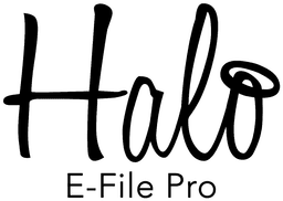 Halo E-File Pro