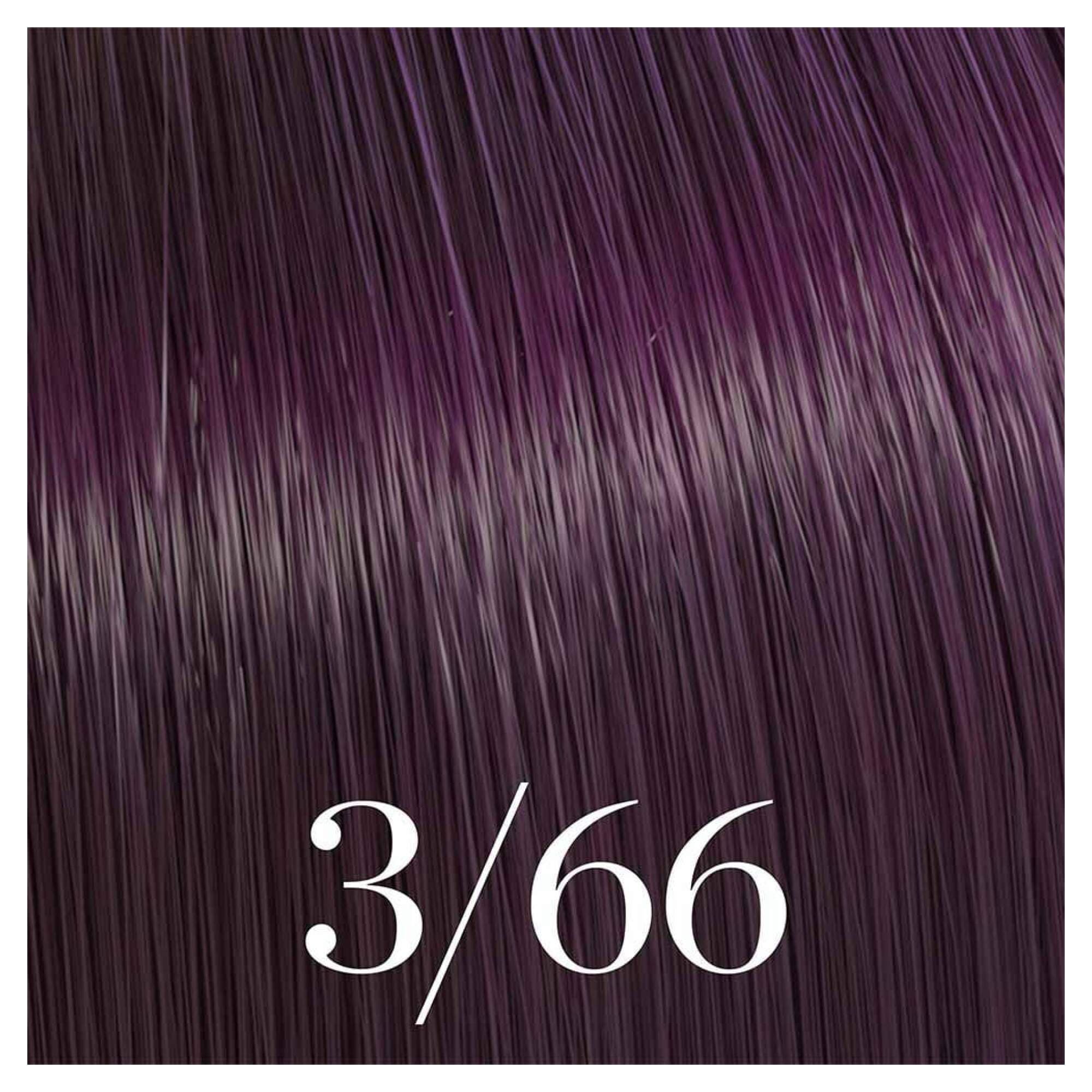 Color Touch 3/66 - Image 2