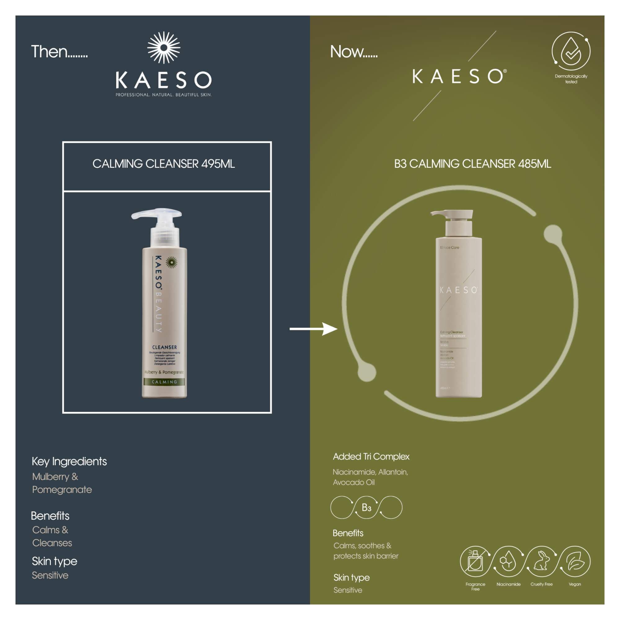 KAESO SKINCARE - CALMING - B3 Calming Cleanser 485ml