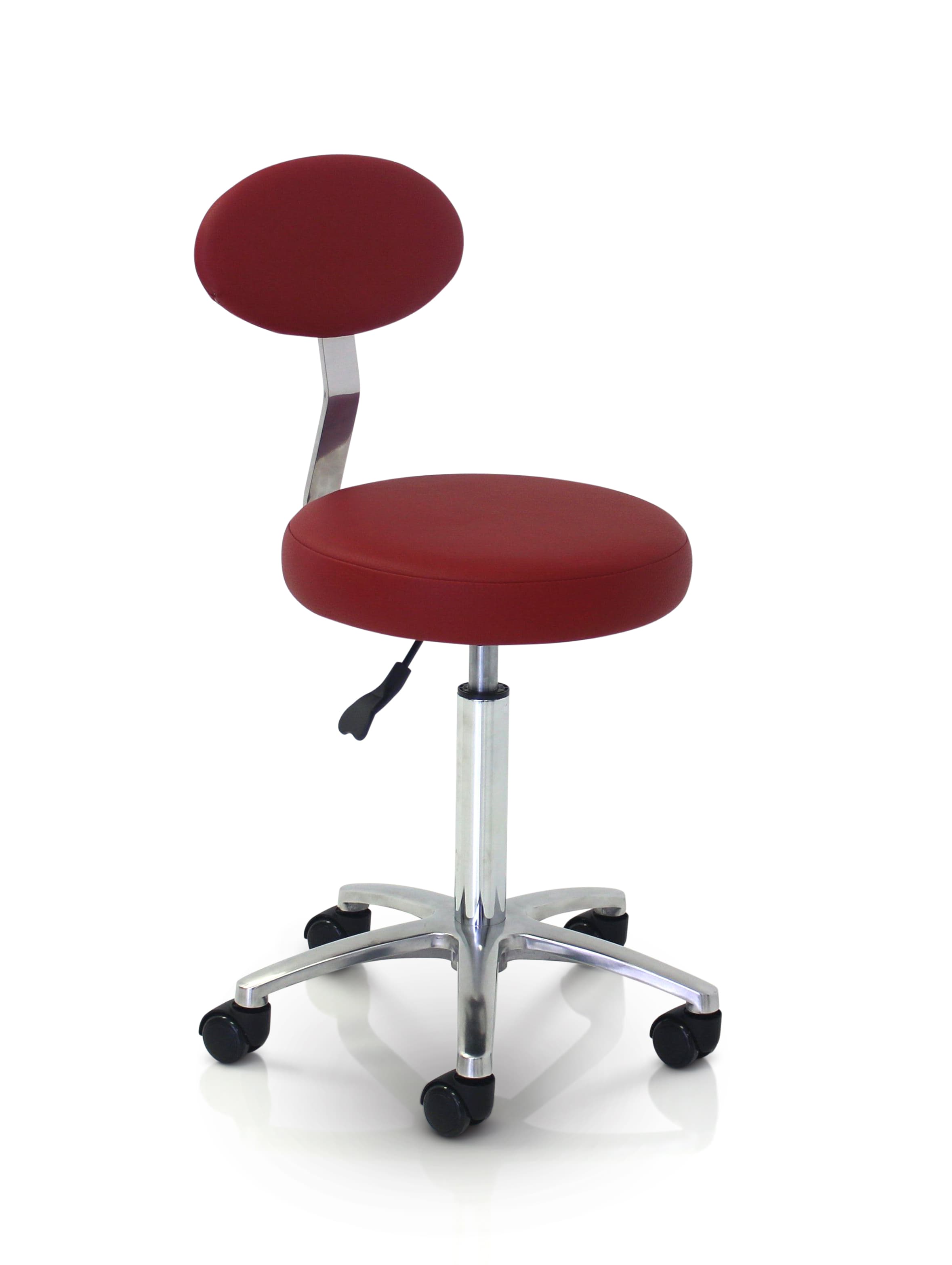 Cutting/Therapist Stool With Backrest Colours