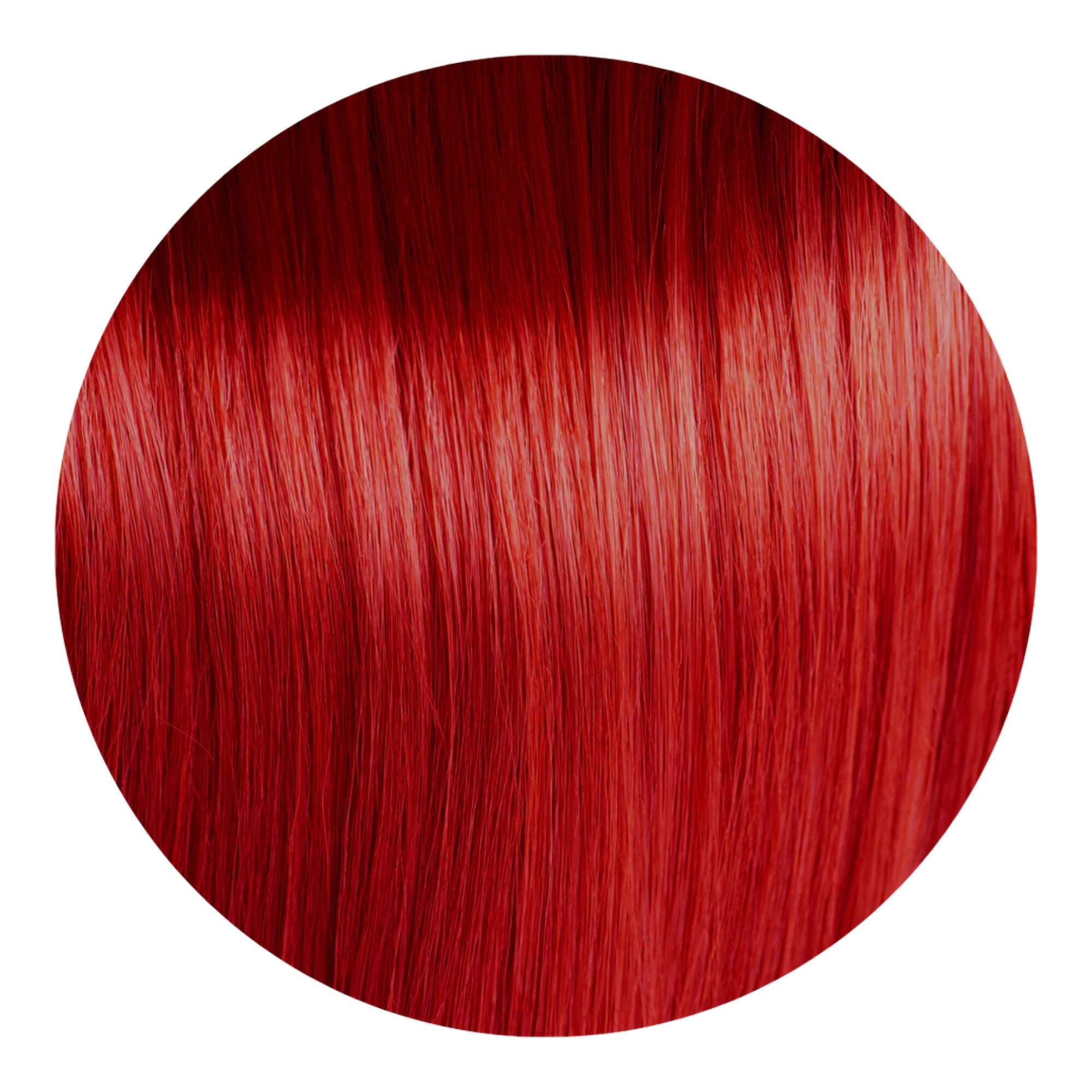Osmo IKON - 8.666 - Image 2