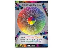 Osmo IKON -- Poster - Single Sided Colour Wheel