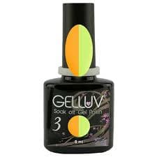 Gelluv - Festival Of Colours - Dance