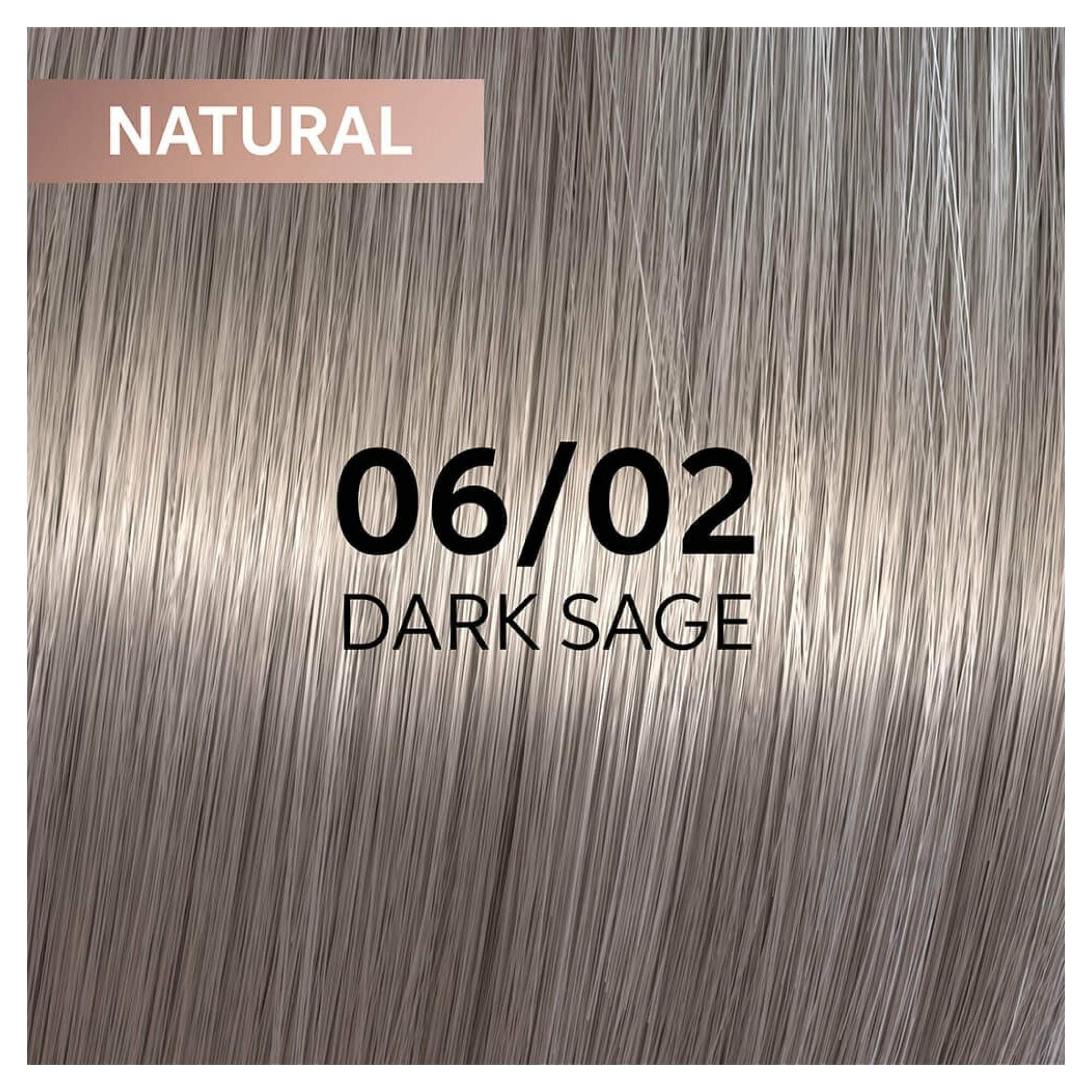 Shinefinity 06/02 - Dark Sage - Image 2