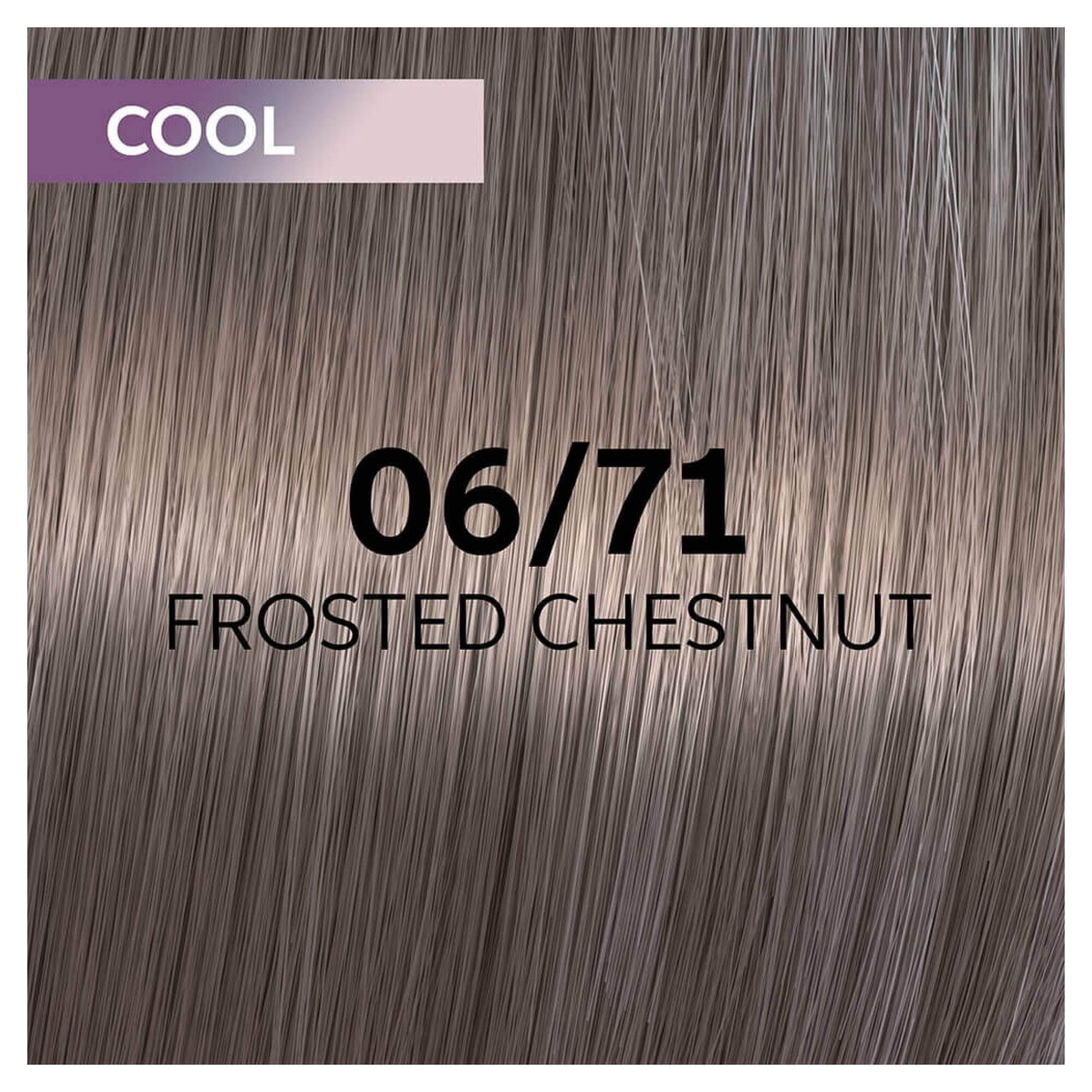 Shinefinity 06/71 - Frosted Chestnut - Image 2