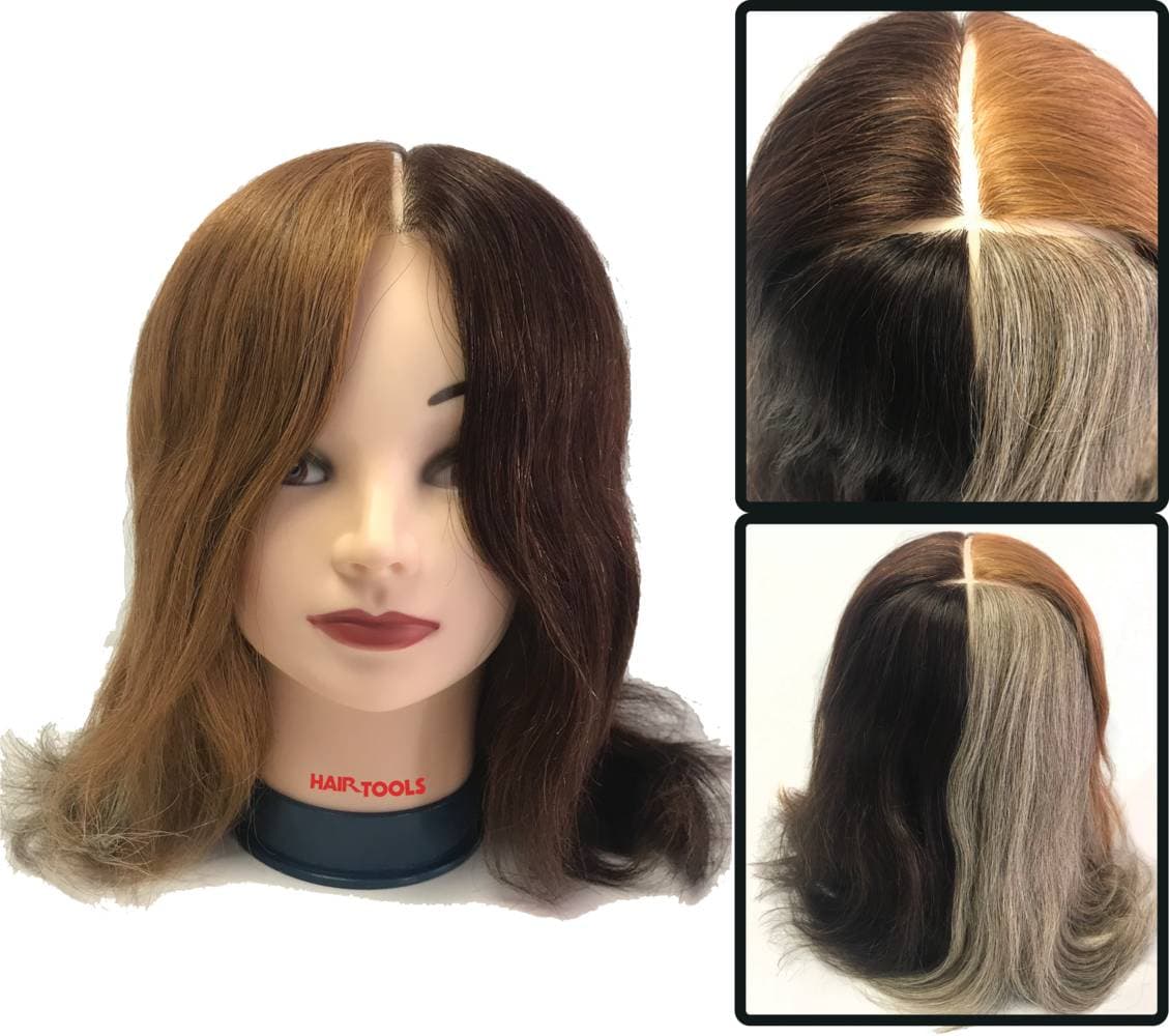 HAIR TOOLS - Training Head - 4 Colour