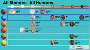 Tonal Control Shade Chart (Run 1-23)