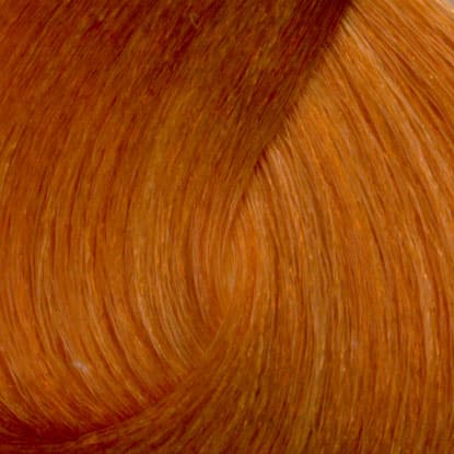 Neal & Wolf - EXTRAORDINARY COLOUR - 034