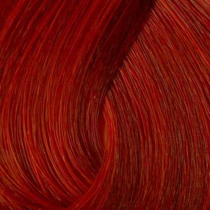 Neal & Wolf - EXTRAORDINARY COLOUR - 056