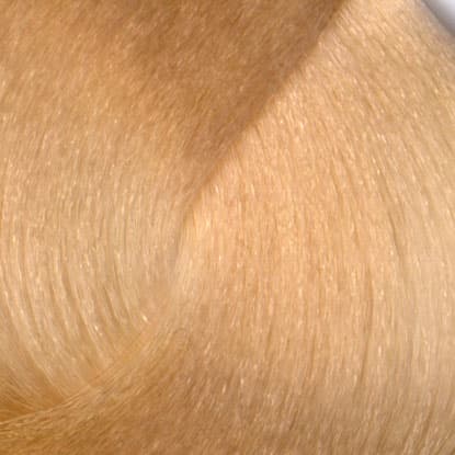 Neal & Wolf - EXTRAORDINARY COLOUR - 12.00