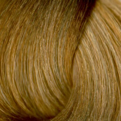 Neal & Wolf - EXTRAORDINARY COLOUR - 8.11