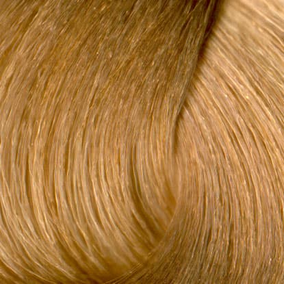 Neal & Wolf - EXTRAORDINARY COLOUR - 9.12