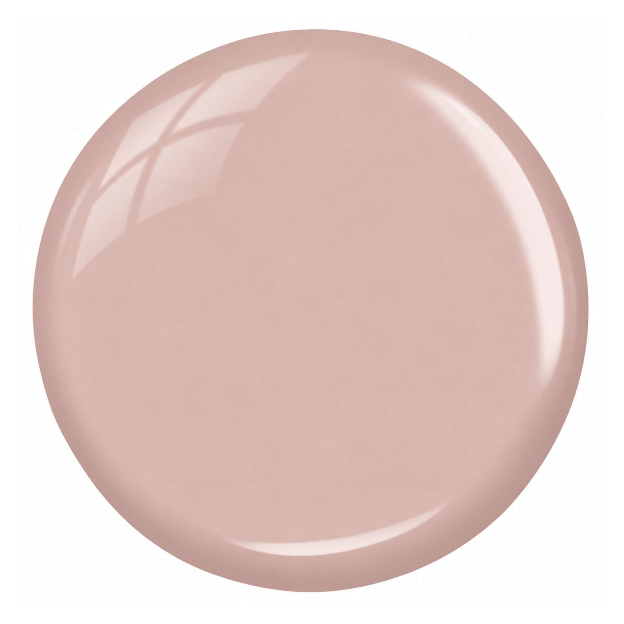 HALO EASIBUILD - Patisserie Collection - Panettone 8ml - Image 2