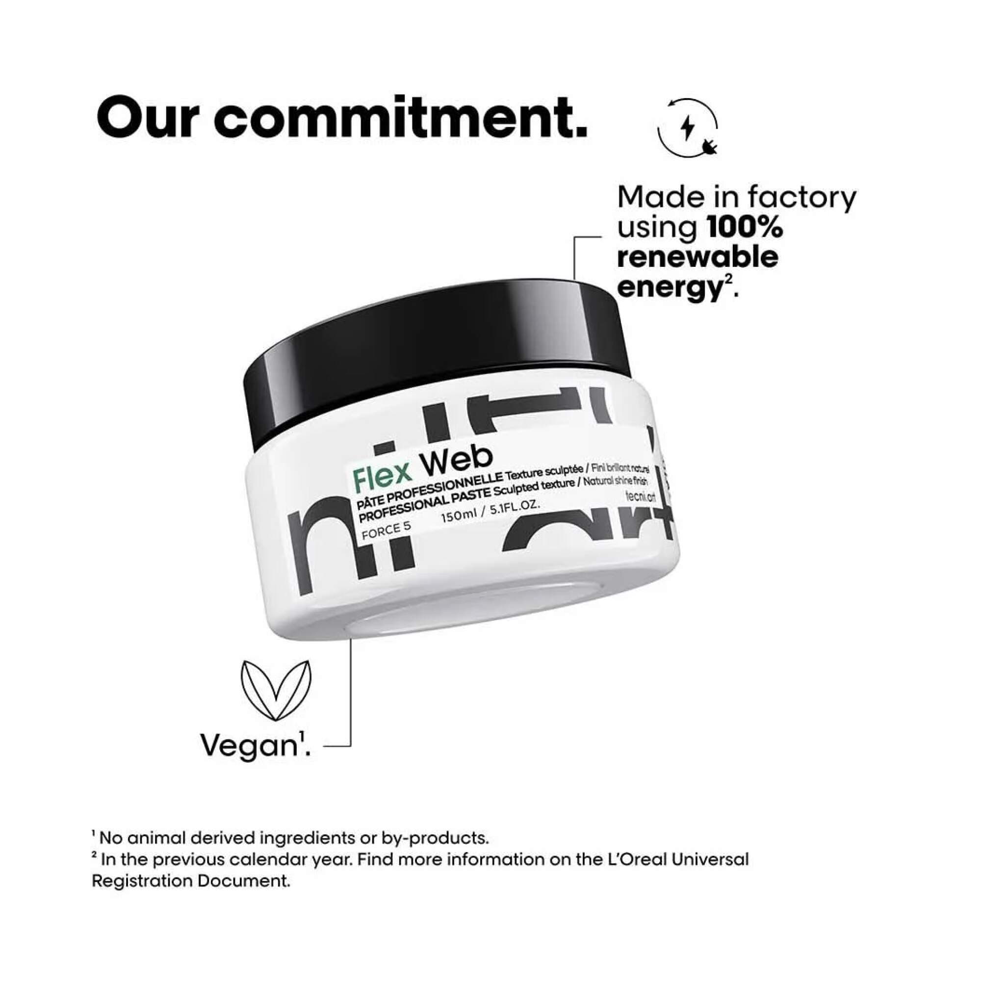 Tecni-Art - Flex Web - Image 2