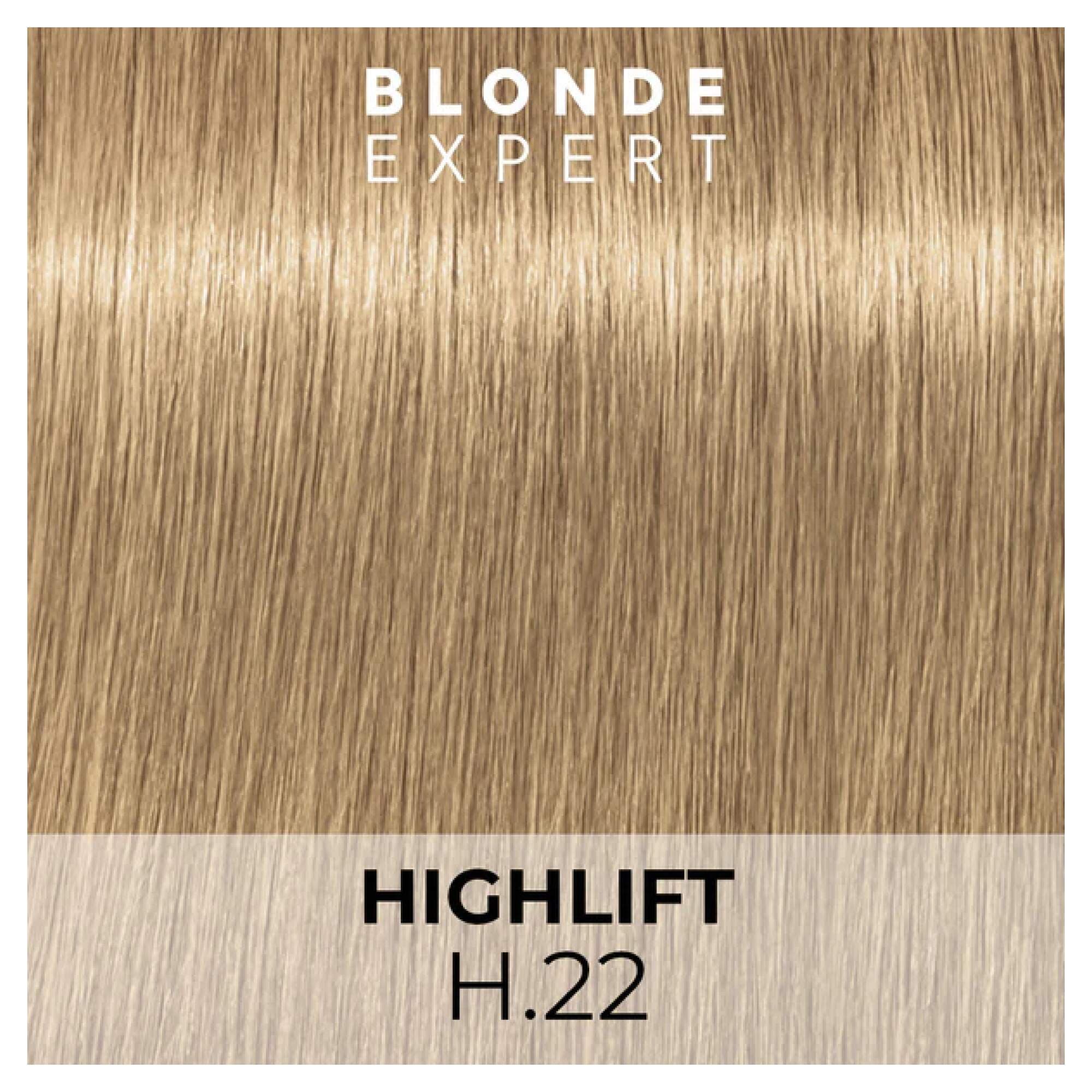 BLONDE EXPERT - H.22 - Image 2