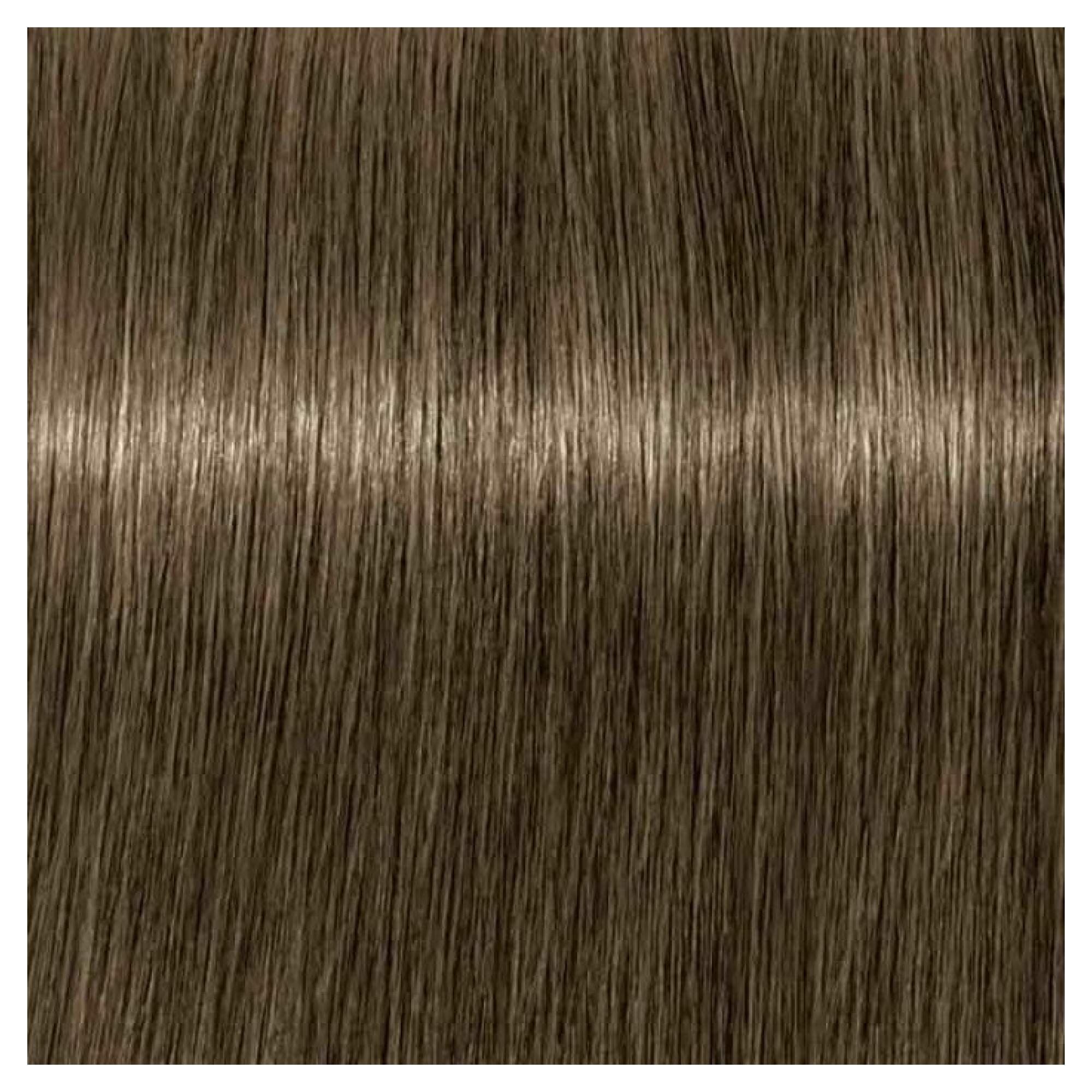 IGORA ROYAL - 7-24 - Image 2