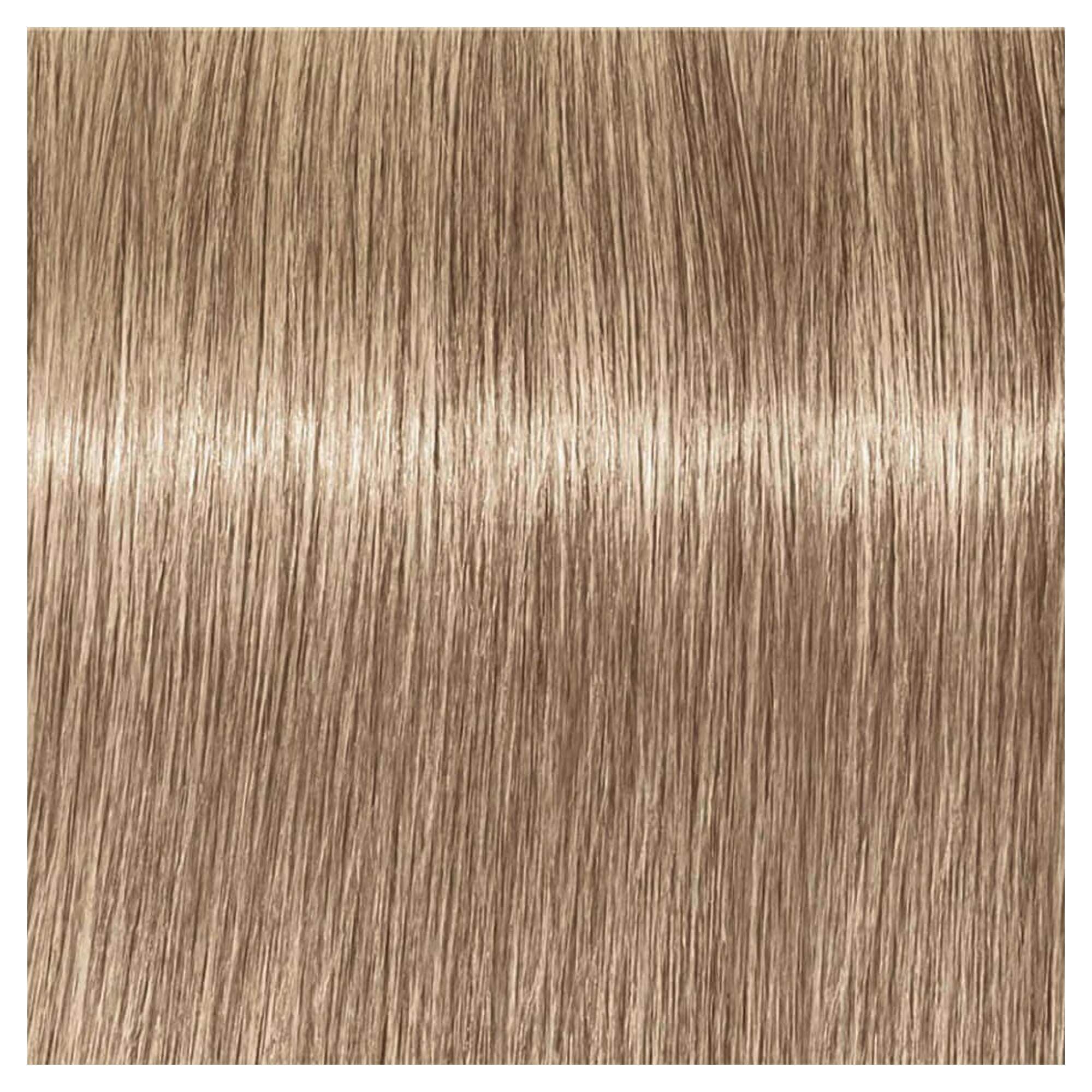 IGORA ROYAL - 9-19 - Image 2