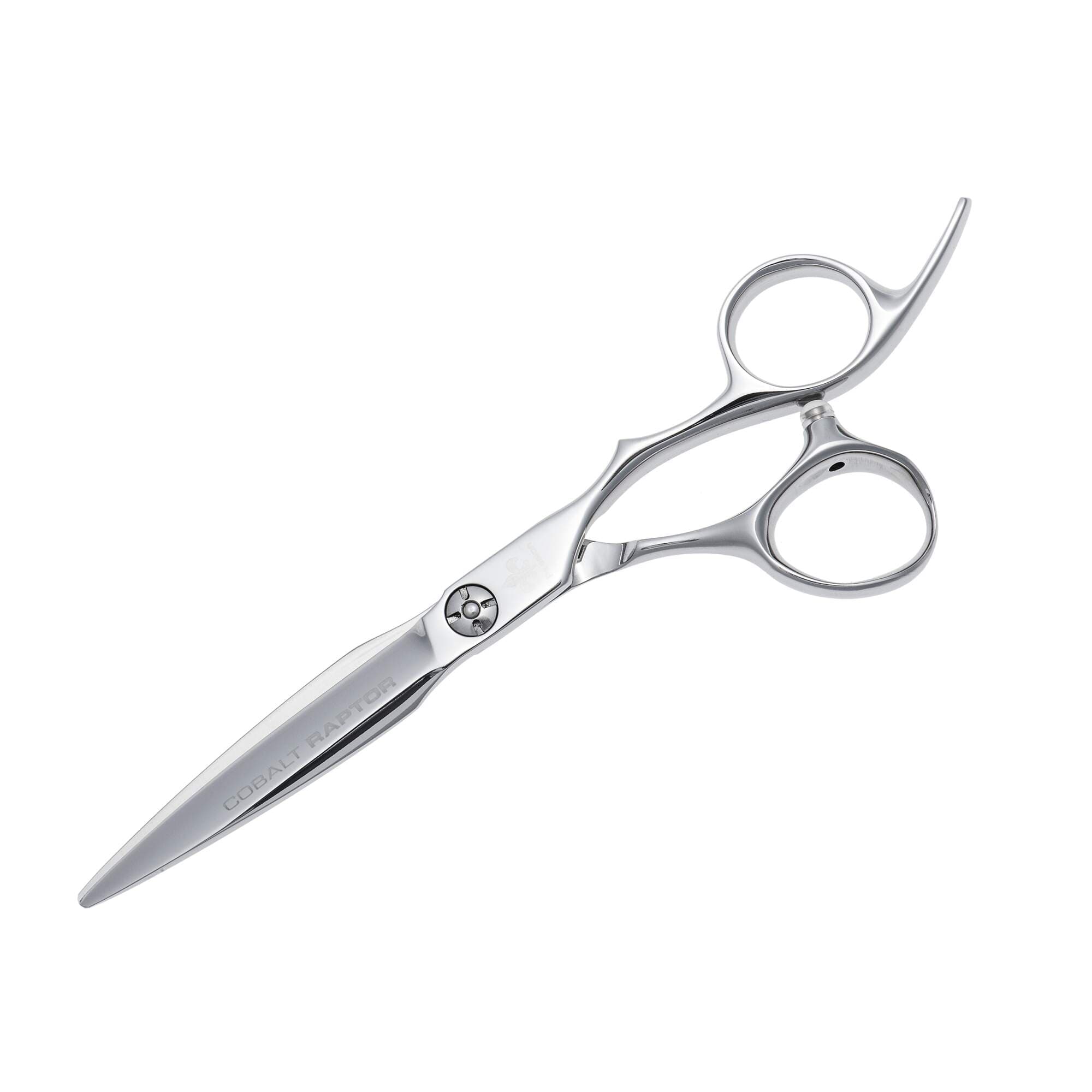PASSION SCISSORS - COBALT - Raptor - 6.5"