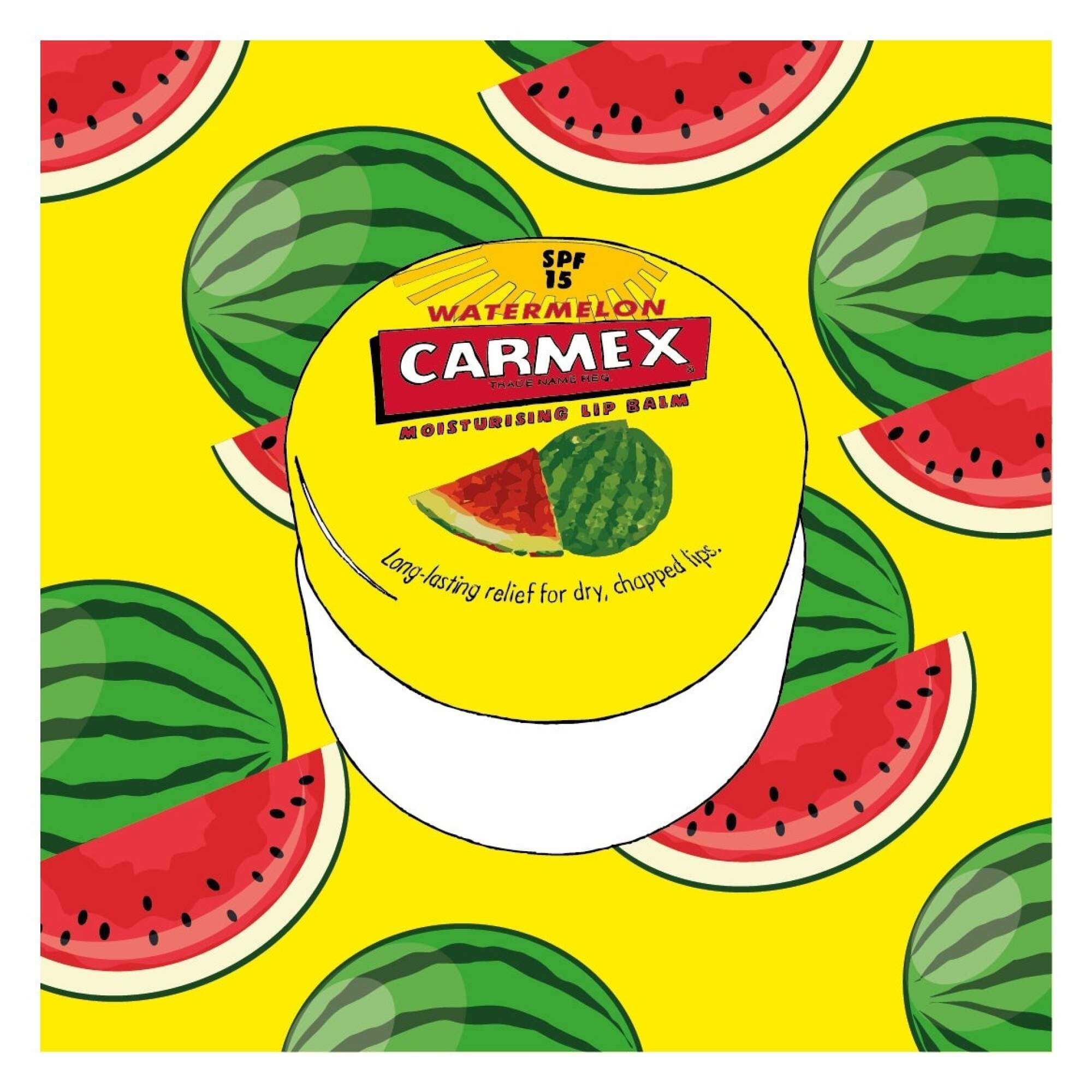 CARMEX - Watermelon Pot - Image 2