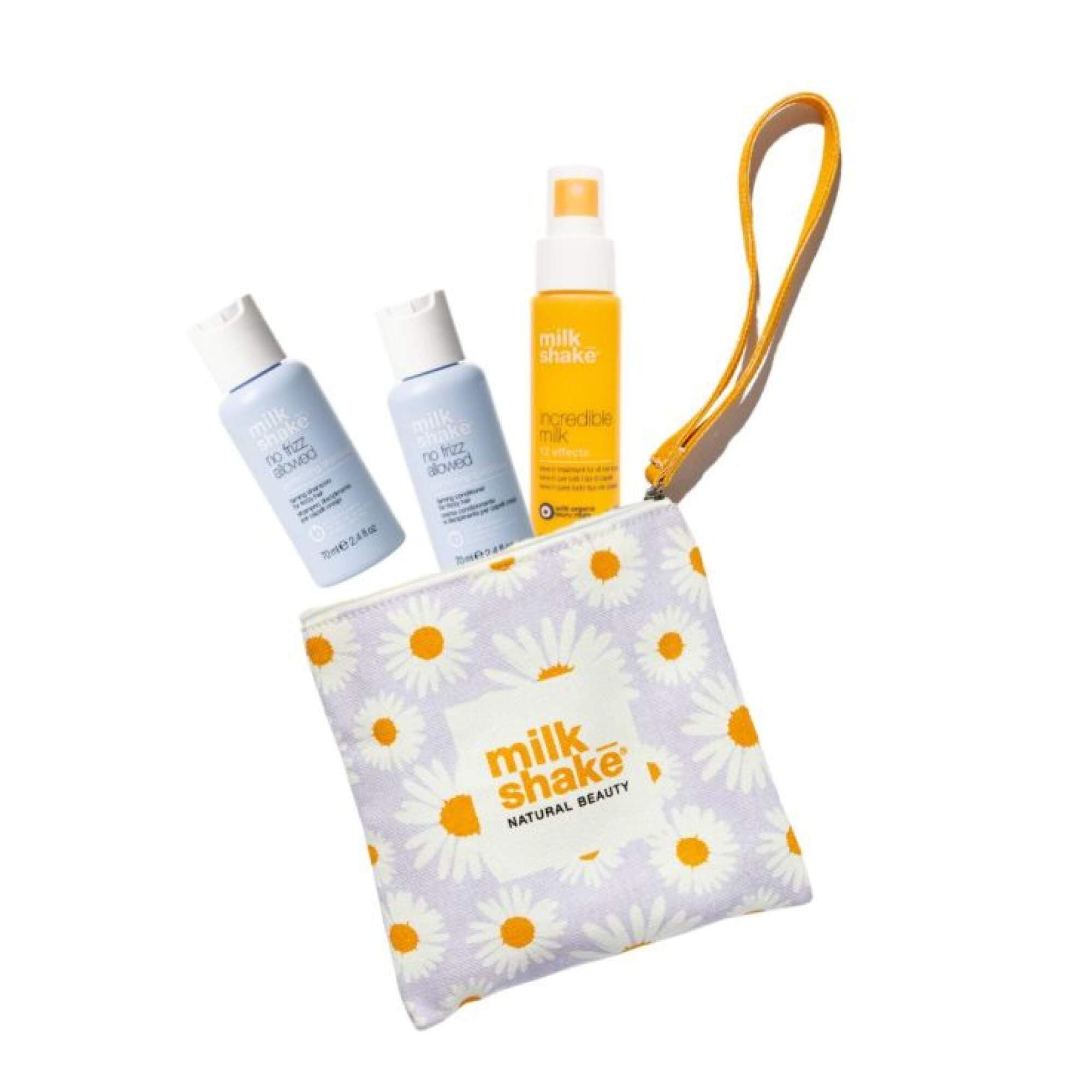 Milk Shake - Summer Mini Kit - No Frizz Allowed