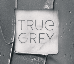Wella True Grey