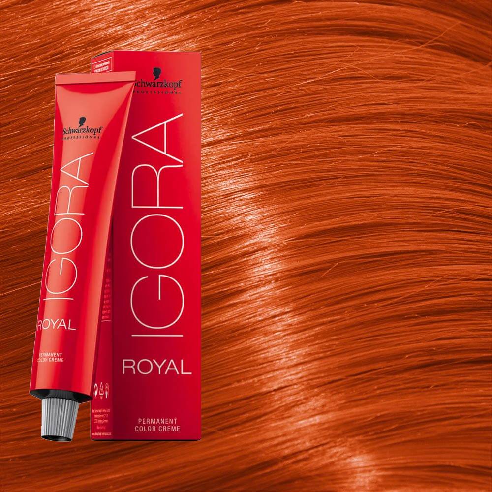  Schwarzkopf - ROYAL IGORA 8-77 02/13 60 ml : Beauty & Personal  Care